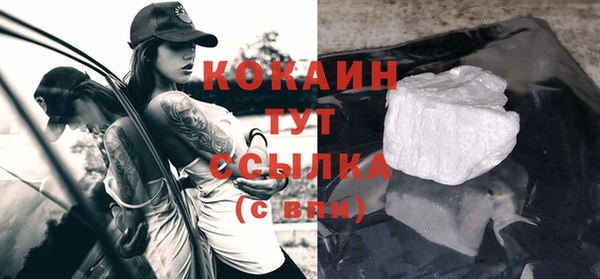 стаф Аркадак